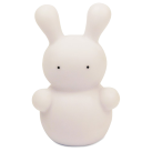 2025301059-Rachel-Rabbit-Front